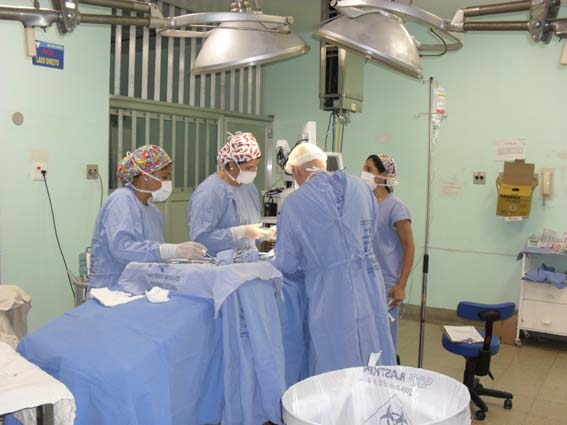 hse (14)
